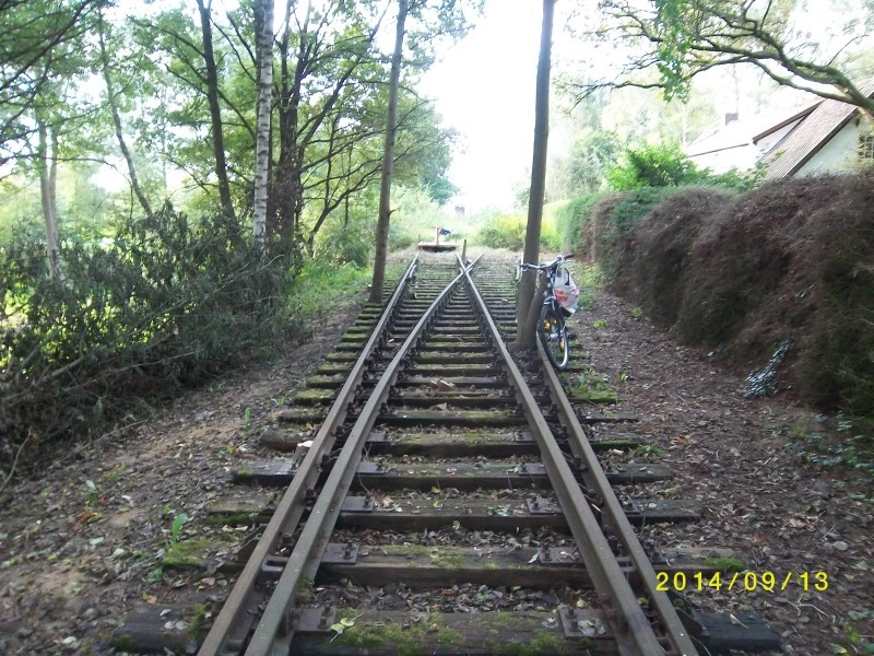 ZWNEGI14